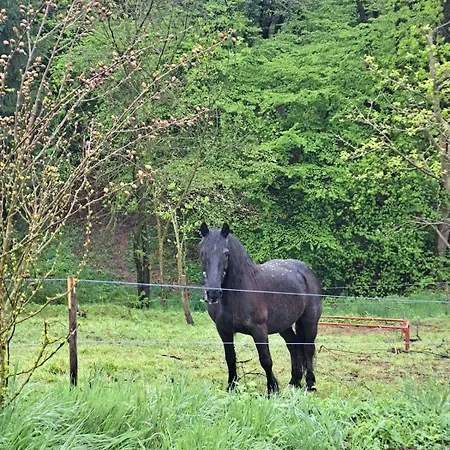 Apartamento Passione Peonie Roccabruna