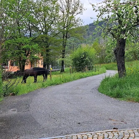 Passione Peonie Apartman